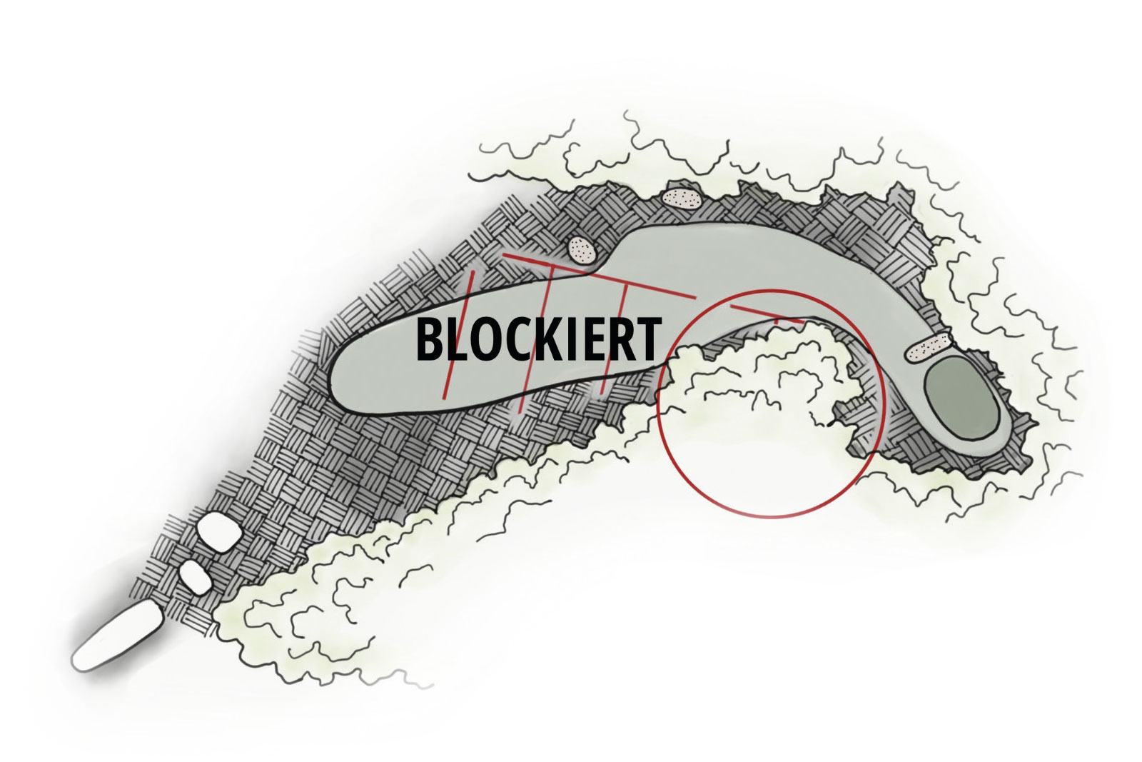 Der Blick des Architekten: 
