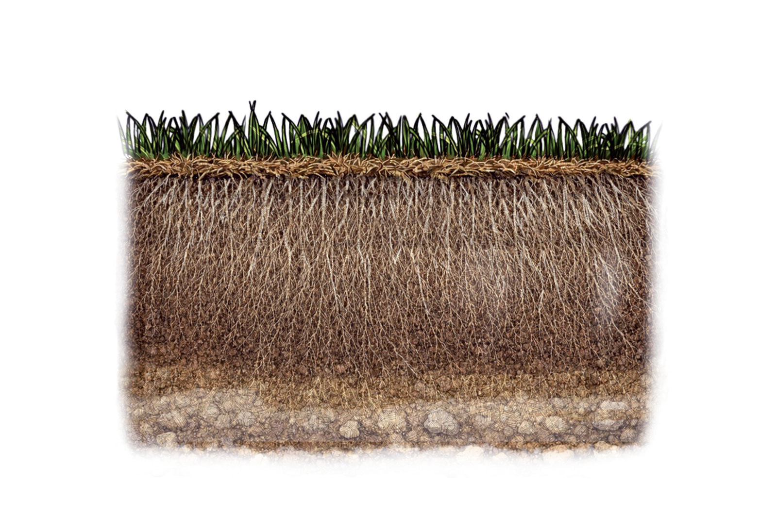 Der Blick des Architekten: 