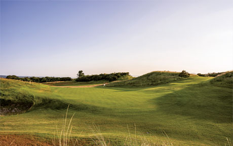 On the Tee: Links Grün