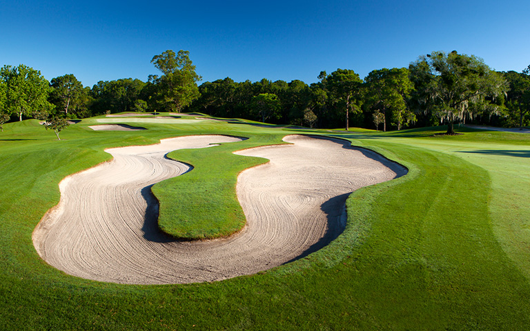 Disney's Magnolia Golf Course: 