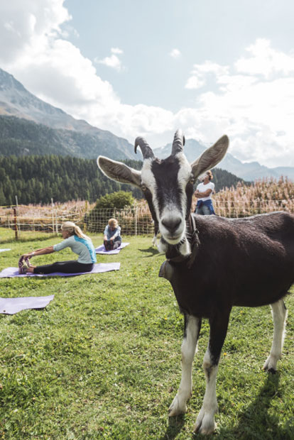 Schweiz: Personal Yoga Instructor: Bartmode absolut hip