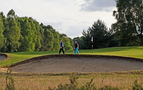 EUROPÄISCHER GCELMPTER WALD Niederkrüchten