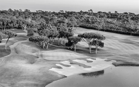 Quinta do Lago Laranjal