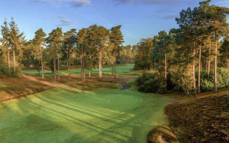 The Berkshire Blue Course