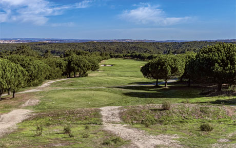 Guardian Bom Sucesso