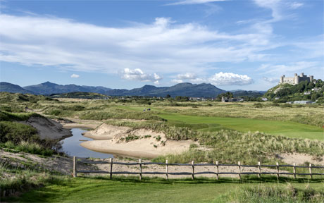 ROYAL ST. DAVID'S GOLF