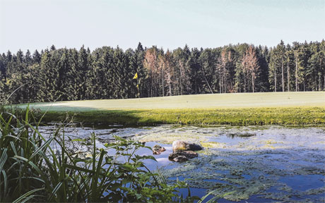 GOLFPARK OBERZWIESELAU